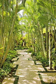 Exotic Garden by Werner Design Associates and Mark de Reus in Kona, Hawaii