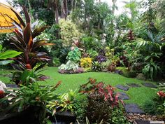 Dennis Hundscheidt's garden, Queensland... superb!