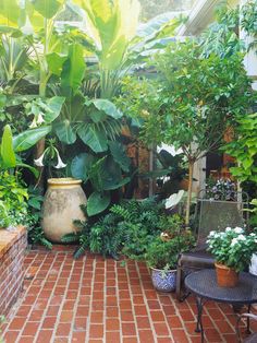 BHG mag-Small-Space Landscape-Big Bold tropical plants create a lush feel &amp;amp; make a small space seem larger