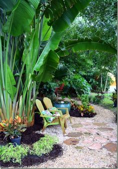 the gorgeous garden belonging to LInda from the Lime in the Coconut blog