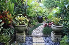 Tropical garden by Dennis Hundscheidt. Stunning garden on a 1/4 acre block.