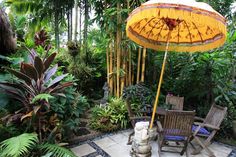 Tropical gardens sunnybank Brisbane. Hope to see this one day.