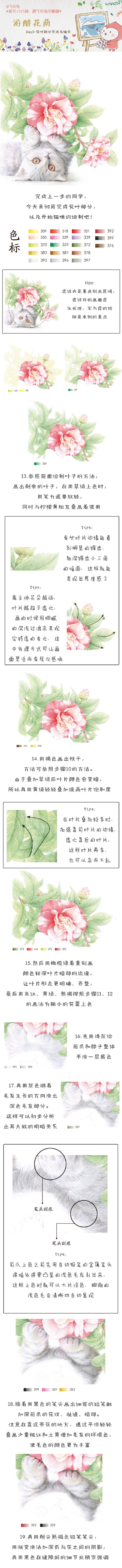 【绘画教程】游醉花荫 3（花叶部分完成及猫爪）