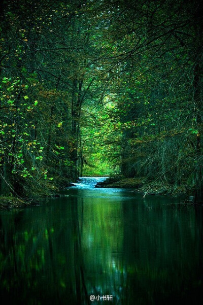 我爱绿色，生命的颜色。