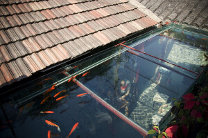屋顶养鱼