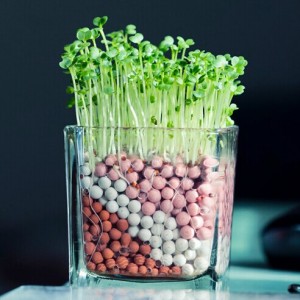 乌烟瘴气的工作环境，需要一点新鲜空气吗？专利产品，负离子散发效果。自然 吸附空气中有毒气味、臭味，100%环保。室内栽培迷你植物，绿化同时净化， 爱自己、爱家人、爱地球