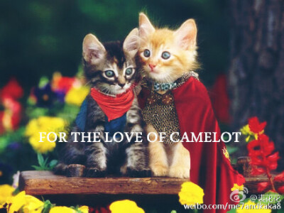 并不走心的卖萌改图一张，for the love of Camelot#Merlin# #Merthur# #AM##亚梅#