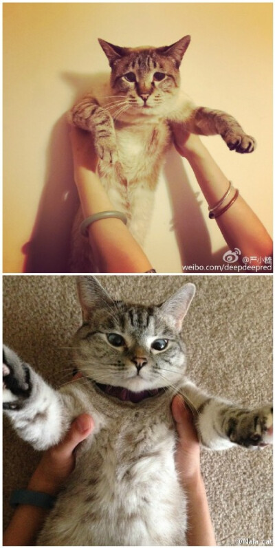 Dala &amp;amp; Nala. #兄妹#