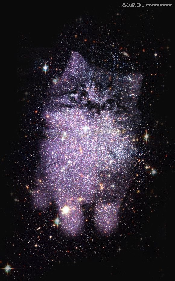 Photoshop制作创意的星空装饰的猫咪图片