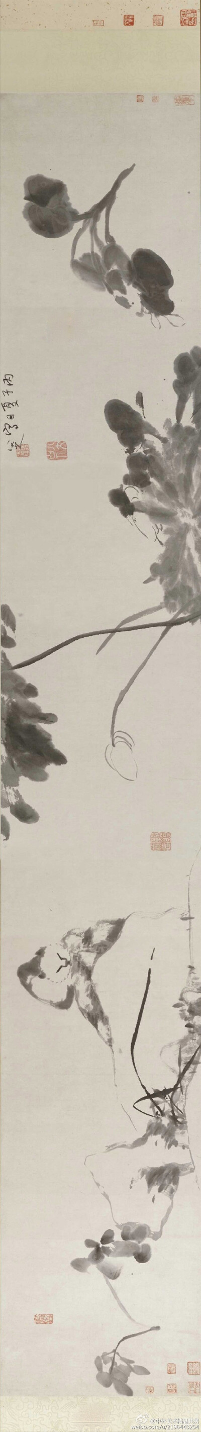 清 朱耷《貓石圖卷》—— 紙本水墨，34 × 218 釐米，現藏故宮博物院。