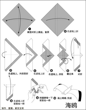 超简单折纸小手工 折个小海鸥飞翔