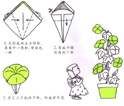 儿童简单花朵折纸手工 牵牛花,喇叭花