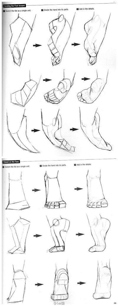 非常非常详细的脚部绘制参考，注意掌握脚趾间的角度关系把控，收藏学习吧！~