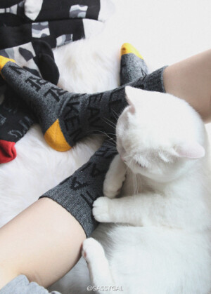 這是我一個學服裝的韓國朋友做的襪子