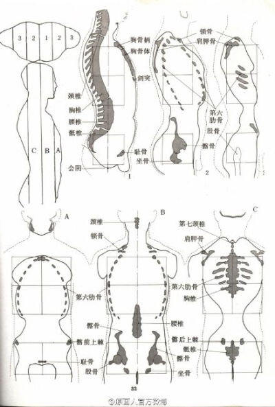 #绘画参考# 补充一下练习人体的问题，《艺用人体运动学》，很实用的一本书，给大家学习参考。书的下载链接 @微盘：O【重要】艺用人体结构运动学.pdf