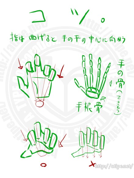 #绘画参考# 【初学者向】有关手的画法，注意细节，简单粗暴，学起来吧~（by 松（A･TYPEcorp， pid=18923）