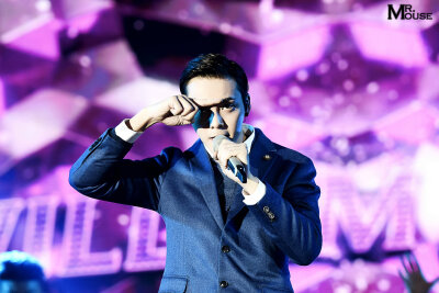 陈伟霆 141029湖南卫视广告招商会