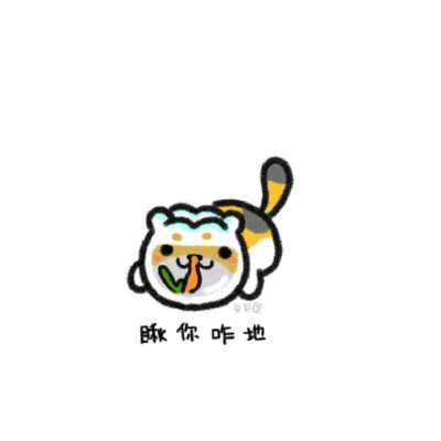 画了一批猫咪后院小头像~~喵呜