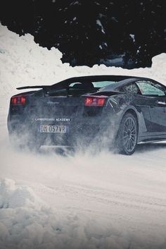 Gallardo on ice