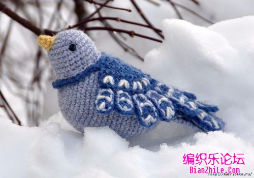 毛线钩织的美丽小鸟-编织乐论坛
