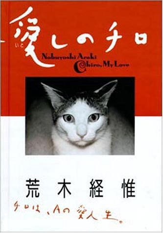 现货 荒木経惟愛貓影集 愛しのチロ