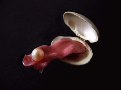 E.V. Day’s Bizarre Sculptures made of Animal Tongues and Clams