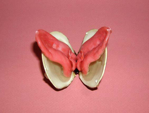 E.V. Day’s Bizarre Sculptures made of Animal Tongues and Clams