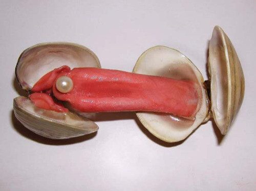 E.V. Day’s Bizarre Sculptures made of Animal Tongues and Clams