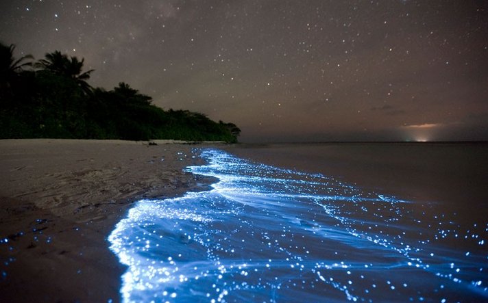 没有月光的干扰，大海变得比星空还要闪耀、璀璨。