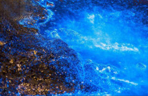 全世界有七个地方出现荧光海滩，三个在波多黎各，两个在澳大利亚，一个在马尔代夫，一个在中国河北秦皇岛，最著名的就是波多黎各Vieque岛。