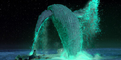 发光的海面与座头鲸 《少年派》中最梦幻的镜头，莫过于散发出淡蓝色荧光的夜晚。随着水面被轻轻搅动，蓝色的荧光从指缝中溢出，水下是散发着蓝色荧光的水母，突然一头散发着荧光的巨鲸高高跃出海面，再落入海里。