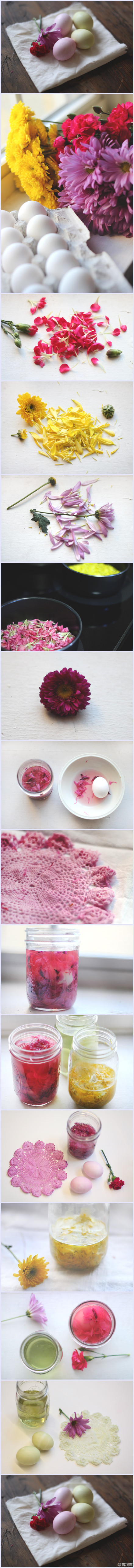 #Natural dyeing eggs#用鲜花汁给鸡蛋美美地浸个色，哦~还有洋葱皮和紫甘蓝！另外补充上条：天然染色会使用媒染剂（明矾、石灰、醋、盐、草木灰、铁锈水等，视所需染色不同而决定）来助染和固色，但既然是天然的，那颜色总会越洗越淡的。不要想得太复杂，大自然里的太~多花果草木都能用做天然染料哒！