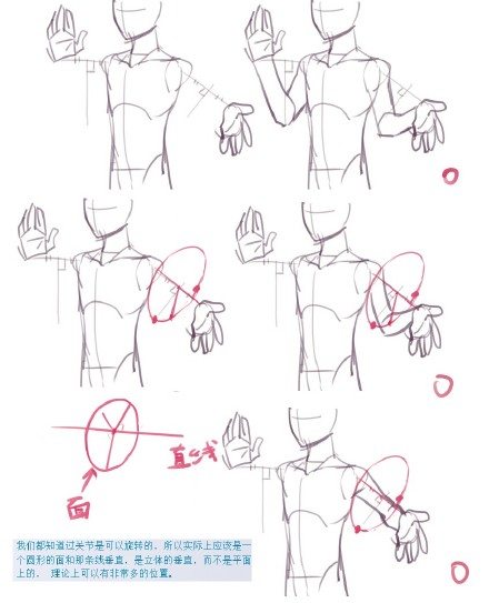 刚刚那个【在肩和手之间画一条直线连接，在直线的中点引条垂直线，手肘其实就落在垂直线上】用几何思路等腰三角形来解释手肘的位置，太不严谨了！希望初学者不要完全的奉为金玉良言，何况它还是盗图的。