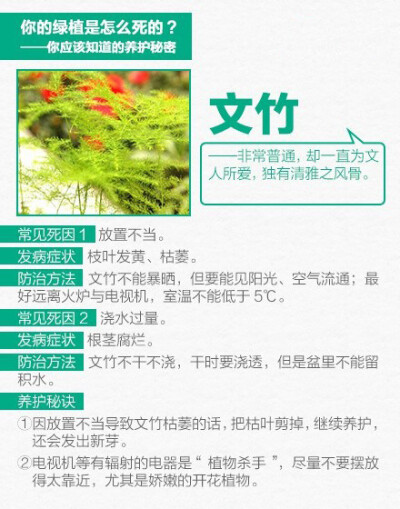 告诉你10种入门级家庭植物该如何养护。