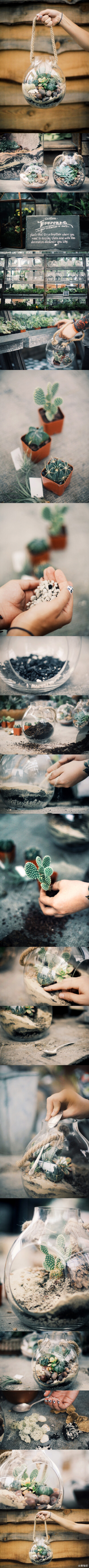 #Desert Terrariums With Terrain#多肉植物组成的沙漠景观玻璃房。哈哈哈~小伙伴的多肉长得还好嘛！有木有怀念满手土的种植过程啊！hoho~这是一个很棒的夏日DIY，保持通风些许水，多肉度夏会简单一些哦！PS.铺沙那一…