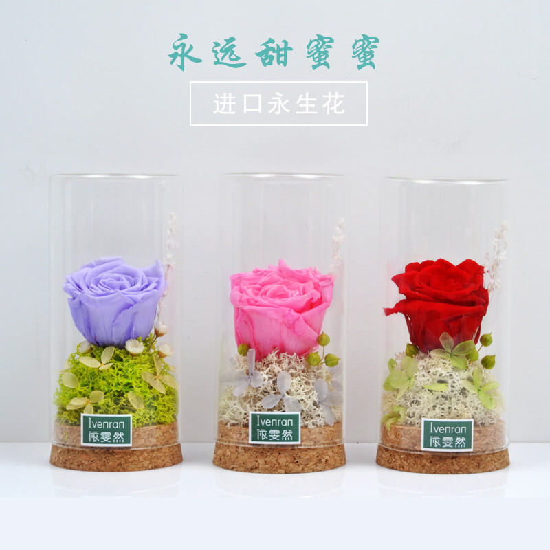 依雯然 永生花玫瑰花 保鲜花 玻璃生态瓶 创意生日情人节礼物