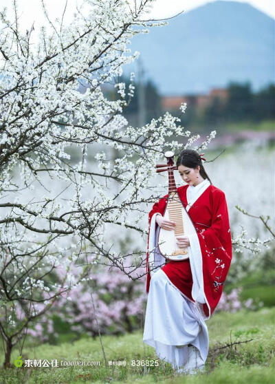 花容月貌梨花情红衣古装美女大图 有朝歌夜弦之高楼，上有倾城倾国之舞袖。