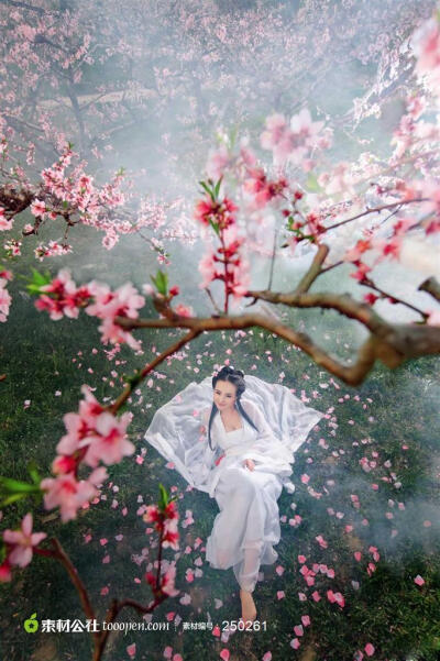 桃花树林中的古典美女--干露露 绾青丝，挽情思，任风雨飘摇，人生不惧