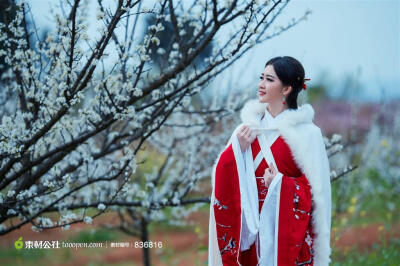 花容月貌梨花情红衣古装美女美图