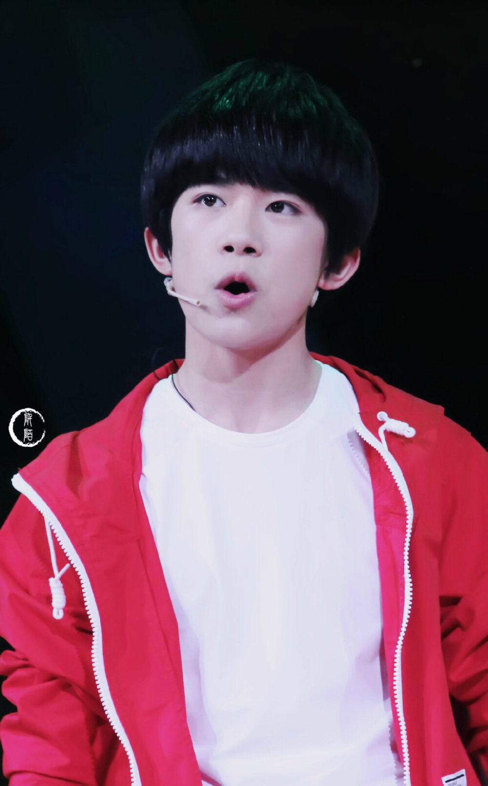 尔玉千琢方为玺，雕玺难易，赏玺悦心。挑玺净玺，抚玺刻玺，护玺爱玺。山间宣鹤喜于玺，伴玺终得苦方乐。玺色尚佳，喜景堪夸，喜声咿呀，玺印红霞。