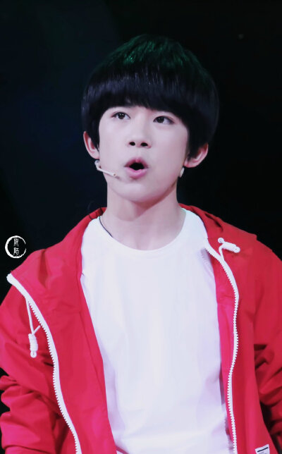 尔玉千琢方为玺，雕玺难易，赏玺悦心。挑玺净玺，抚玺刻玺，护玺爱玺。山间宣鹤喜于玺，伴玺终得苦方乐。玺色尚佳，喜景堪夸，喜声咿呀，玺印红霞。