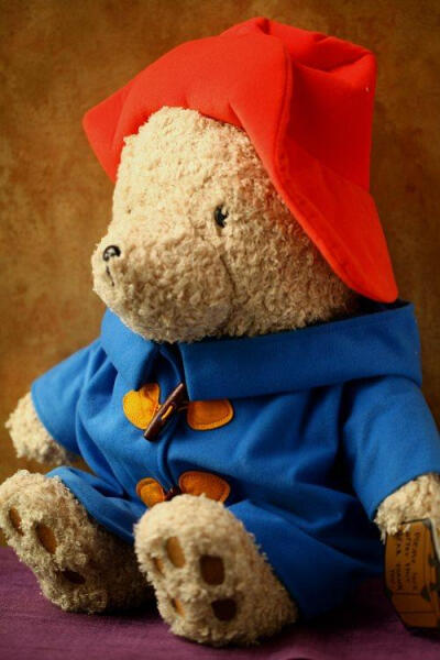 英国帕丁顿熊电影可爱泰迪熊毛绒公仔玩具六一儿童节生日礼物