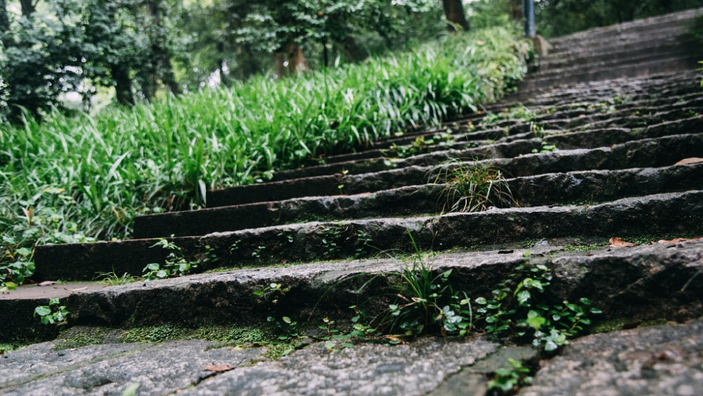 浙江大学 ·· 之江校区（森林公园）B162 浙江大学