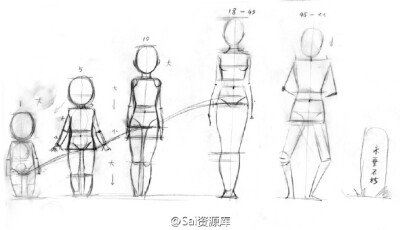 不同年龄段人体比例