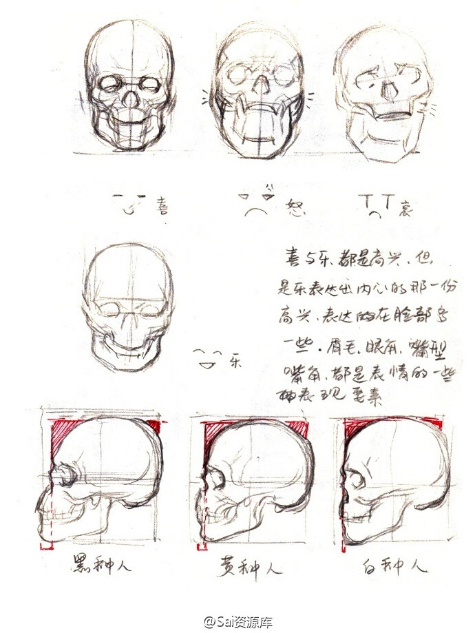 头颅，喜怒哀乐，人种