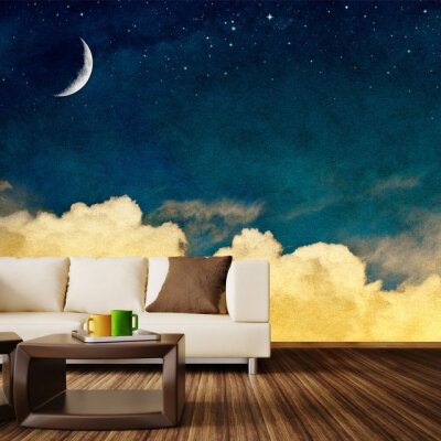 One For The Dreamers Removable Wall Mural