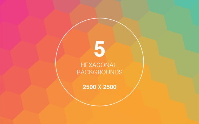 5 Hexagon Geometric Backgrounds