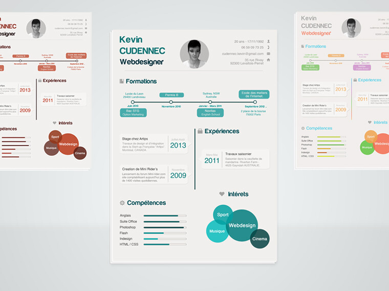 Infographic Resume