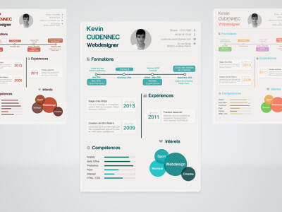 Infographic Resume