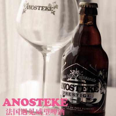 法国进口啤酒 Anosteke 遇见威望啤酒 330ml